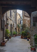 Courtyard with flowerpots, Pitigliano, Tuscany, Italy, Europe