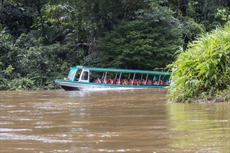 La Pavona, Costa Rica, Tourists ride boats on the Suerte River for the hour-long ride to Tortuguero National Park, Central America