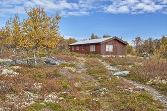 Autumn landscape in Rondane National Park, Cottage, Tundra, Oppland, Norway, Europe