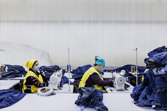 Seamstresses sew jeans at the Afrasyab jeans factory in Samarkand, 02.11.2022., Samarkand, Uzbekistan, Asia