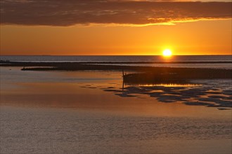 Sunset at low tide in the Wadden Sea National Park. Groynes protect the tidal flats. The Wadden Sea off the North Frisian coast is a UNESCO World Heritage Site. Schoepfwerk Suedwesthoern, Emmelsbuell-...