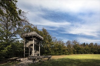 Observation tower on the Eifelsteig trail in the Muetzenischer Venn nature reserve, North Eifel, Hohes Venn, Monschau, North Rhine-Westphalia, North Rhine-Westphalia, Germany, Europe