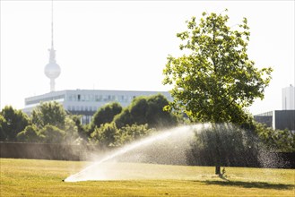 A meadow and a tree are watered in the government district Berlin, 22.06.2022., Berlin, Germany, Europe
