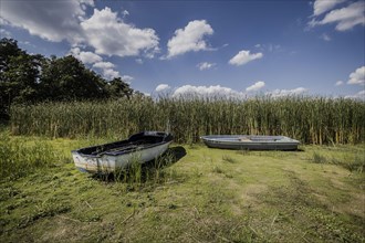 Boats lie at low water level at a dried up river bank near Waldhufen, Due to persistent heat and lack of precipitation many waters in Saxony are dried up or carry little water., Waldhufen, Germany, Eu...