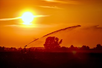 Irrigation of the fields with a circular sprinkler, sunset, light mood, backlight, drought, hot spell, water shortage, drought, Roeckrath, North Rhine-Westphalia, Germany, Europe