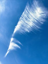 Feather cloud Cirrus Zirrus, ice cloud at high altitude, Germany, Europe