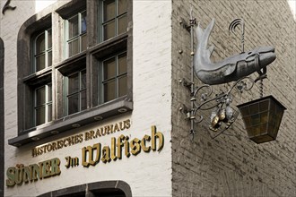 Nose sign, historic brewery Suenner im Walfisch, Old Town, Cologne, Rhineland, North Rhine-Westphalia, Germany, Europe