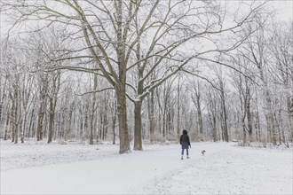 A woman with a dog walks through the Tiergarten after snowfall at night in Berlin, Feb 06, 2023., Berlin, Germany, Europe