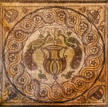 Mosaic floor circular ornaments from Kos, 5th century, Grand Masters Palace built in the 14th century by the Johnnite Order, fortress and palace for the Grand Master, UNESCO World Heritage Site, Old T...