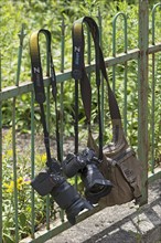 Cameras and photo bag hanging on a garden fence, Bavaria, Germany, Europe