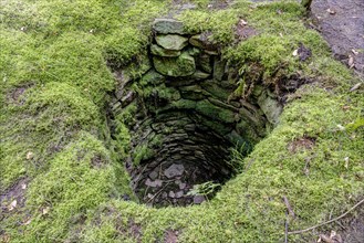 Wolf pit in the northern Black Forest for hunting wolves in the 19th century, now the once extinct wolf is becoming native again in the Black Forest, Neubulach, Baden-Wuerttemberg, Germany, Europe