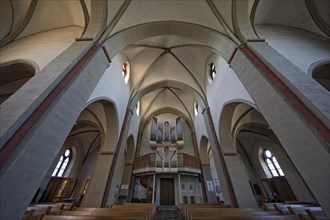 The Protestant Church of St. James, the only late Gothic basilica in Westphalia, Breckerfeld, Ruhr region, North Rhine-Westphalia, Germany, Europe