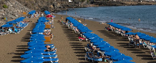 Playa de los Pocillos, Lanzarote, Canary Islands, Spain, Europe