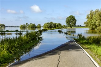 Flooding after heavy rain in North Rhine-Westphalia, nature reserve on the Grietherort and Bienener Altrhein, road flooded, flooding, alluvial deposits, Rees, North Rhine-Westphalia, Germany, Europe