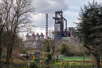 Allotment gardens in the residential area of Duisburg-Bruckhausen, behind industrial scenery with blast furnace of Thyssenkrupp Steel Europe AG, Duisburg, North Rhine-Westphalia, Germany, Europe