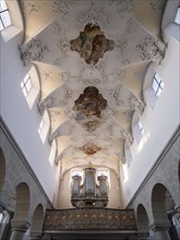 Interior with painted ceiling vault of the Catholic parish church of St. Peter and Paul, former collegiate church, Romanesque columned basilica, Unesco World Heritage Site, Niederzell on the island of...