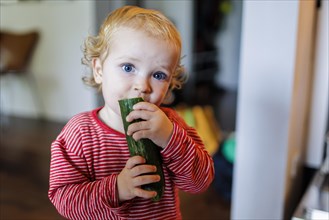 Little boy eating a snake cucumber, Bonn, Germany, Europe