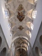 Interior with painted ceiling vault of the Catholic parish church of St. Peter and Paul, former collegiate church, Romanesque columned basilica, Unesco World Heritage Site, Niederzell on the island of...