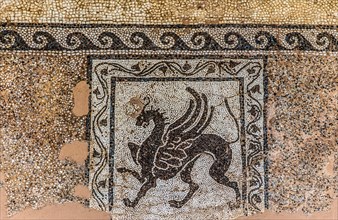 Mosaic of a bird of prey, 2nd century B.C., Archaeological Museum in the former Order Hospital of the Knights of St John, 15th century, Old Town, Rhodes Town, Greece, Europe