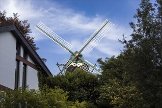 Windmill Fortuna in Meldorf, Nordermuehle, Meldorf, Schleswig-Holstein, Germany, Europe
