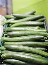 Snake cucumbers, fresh green cucumbers, Radevormwald, 08.06.2022. Radevormwald, Germany, Europe