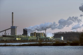 ThyssenKrupp Steel AG, Schwelgern coking plant on the Rhine, Duisburg, North Rhine-Westphalia, Germany, Europe