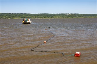 Fishermen on the Illinois River use gillnets to harvest invasive Asian carp, mostly the silver carp