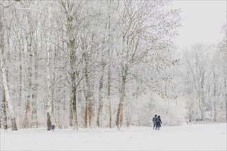 Two people photographed in Tiergarten after snowfall at night in Berlin, 06.02.2023., Berlin, Germany, Europe