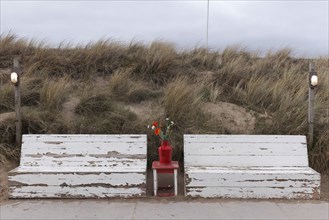 Red vase with artificial flowers between wooden benches, idyllic seating area on a dune path, Dutch North Sea coast, Bergen aan Zee, province North Holland, Netherlands
