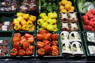 Vegetable selection at the supermarket in Radevormwald, 08.06.2022. Radevormwald, Germany, Europe
