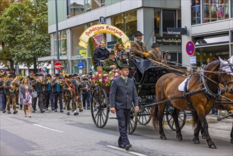 Festival procession, entry of the Wiesnwirte, horse-drawn carriage of the Schuetzen Festzelt, Oktoberfest, Munich, Upper Bavaria, Bavaria, Germany, Europe