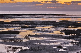 Evening landscape shortly after sunset with draining water in the Wadden Sea National Park. The Wadden Sea off the North Frisian coast is a UNESCO World Heritage Site. Dike at Strandweg, Friedrichskoo...