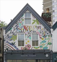 Colourful Tiger, Street Art, Bristol, England, Great Britain