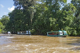 La Pavona, Costa Rica, Tourists ride boats on the Suerte River for the hour-long ride to Tortuguero National Park, Central America