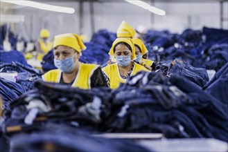 Women workers produce jeans at the Afrasyab jeans factory in Samarkand, 02.11.2022., Samarkand, Uzbekistan, Asia