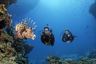 Diver, female diver, two, couple, looking at, looking at lionfish