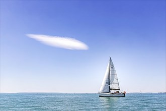 Sailing yacht on Lake Constance, prominent fair weather cloud in blue sky, Immenstaad, Baden-Wuerttemberg, Germany, Europe