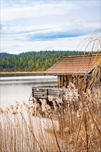 Boathouse with reeds on the lake