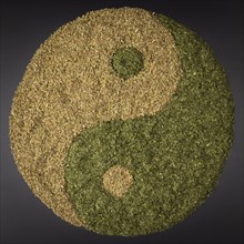 Yin Yang from dried oregano and dried parsley