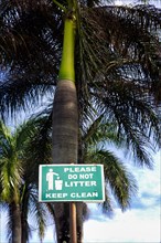 In front of a palm tree is a sign with the inscription
