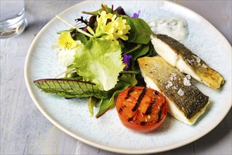 Sea bass with spring salad