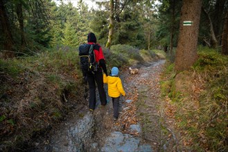 A mother with a child and a dog are walking along the mountain hiking trail. Family spending time. Polish mountains