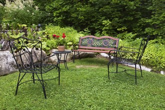 Black wrought iron antique style armchairs and sitting bench painted brownish orange and red Super Moon Red geraniums