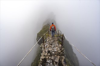 Hikers in the mist