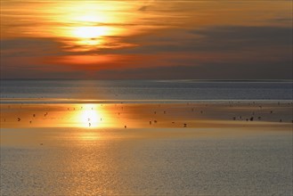 Sunset over the Wadden Sea at low tide