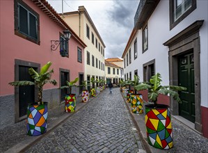 Street with colourful flower pots