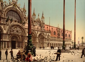 Pigeons in St Marks Square