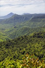 View of Black River Gorges National Park