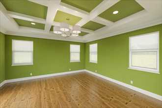 Beautiful bold green custom master bedroom complete with fresh paint