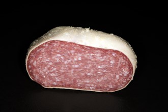 A thick slice of salami covered with cheese